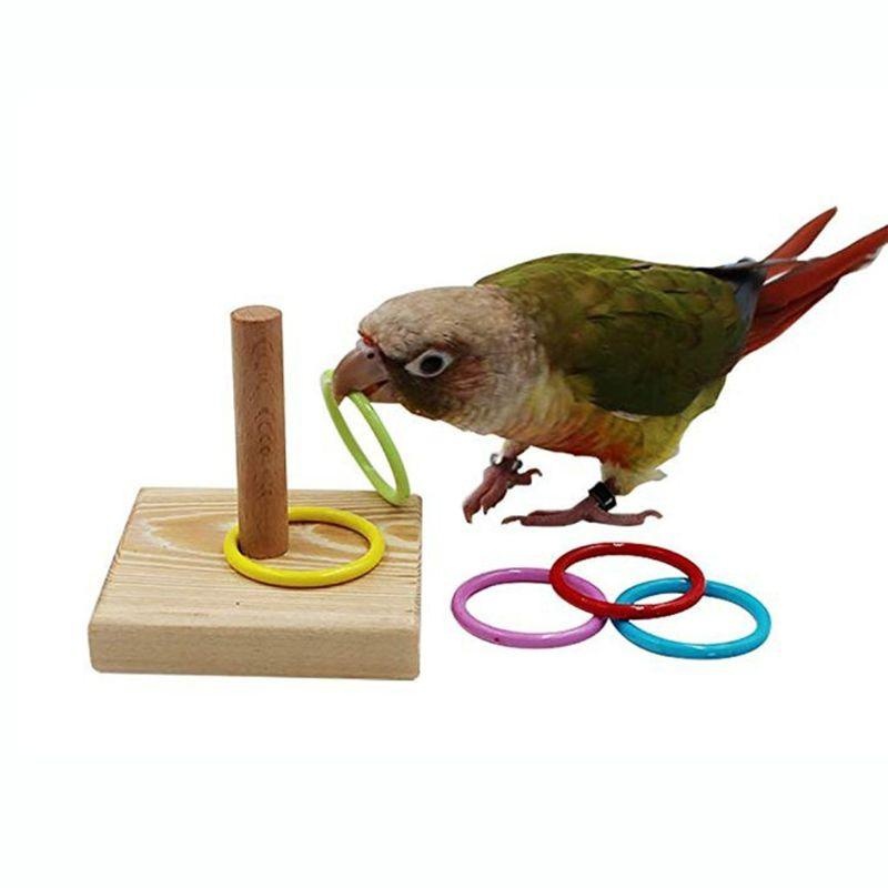 Bird Training Ring Toy Parrot  - Gymnastic Ring Wood recension och pris