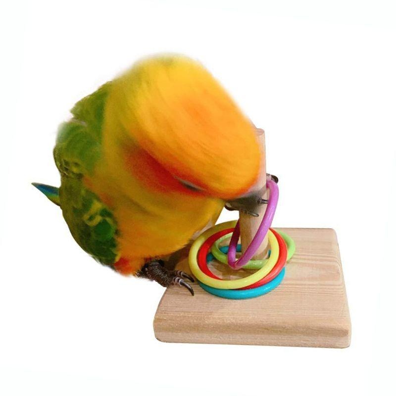 Bird Training Ring Toy Parrot  - Gymnastic Ring Wood recension och pris